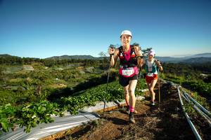 BIB: 9762
                            <button type="button" onclick="openModal(19115761)" class="btn btn-primary btn-sm float-right btn-popup" data-toggle="modal" data-target=".modal-high-quality">
                        <i class="fas fa-shopping-cart"></i> Add to Cart
                    </button>
                                            <button type="button" onclick="isThisMe(19115761, true)" class="btn btn-success btn-sm float-right btn-popup btn-isme hidden" data-toggle="tooltip" data-placement="bottom" title="นี่คือรูปของคุณใช่ไหม คลิกที่นี่เพื่อเอาเข้าอัลบั้ม">
                        <i class="fas fa-plus"></i> Add to album
                    </button>
                    <button type="button" onclick="isThisMe(19115761, false)" class="btn btn-warning btn-sm float-right btn-popup btn-isnotme hidden">
                        <i class="fas fa-ban"></i> Remove from album
                    </button>